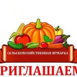 Для работы сельскохозяйственных ярмарок в Кировском районе предложено 3 площадки