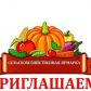 Для работы сельскохозяйственных ярмарок в Кировском районе предложено 3 площадки